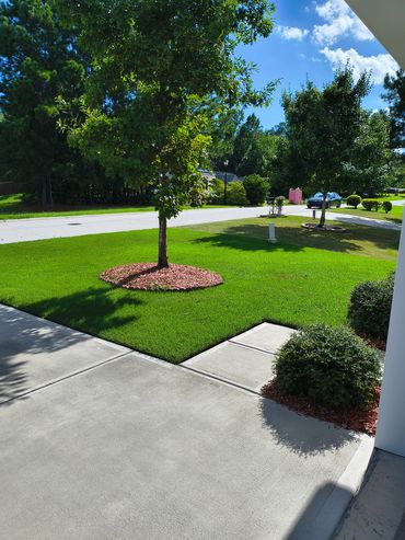 Front yard with vibrant green grass.