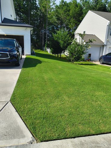 Well-maintained green lawn between two houses.