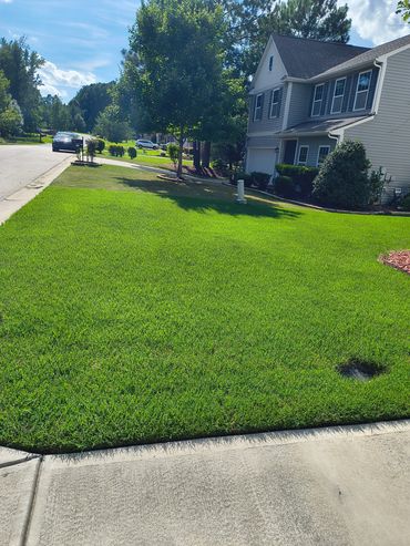 A suburban house with a green lawn.