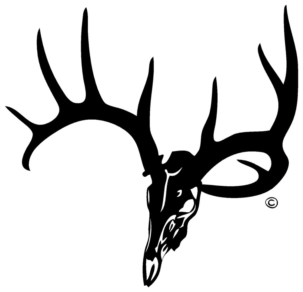 Kentucky Hunting Lease Kentucky Hunting Lease Kentucky Hunting