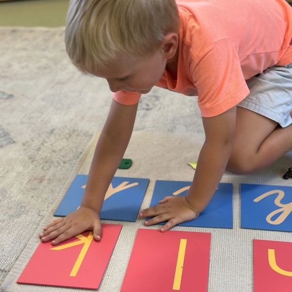 Montessori based toys and skills