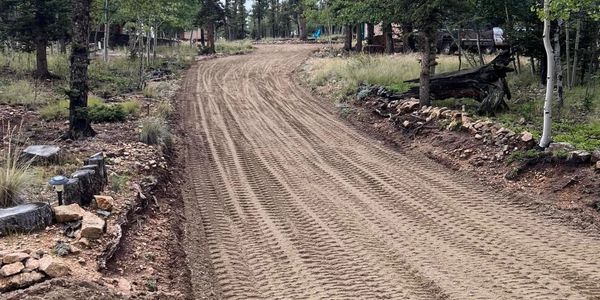A dirt road with tire tracks winding through a forested area.