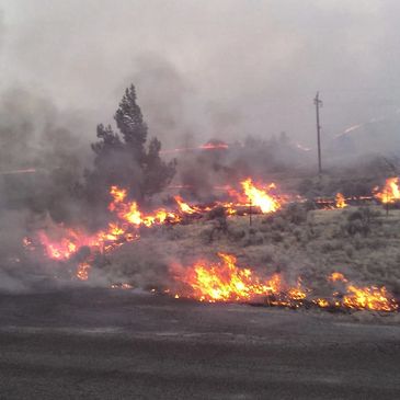 Burning land with fire and smoke