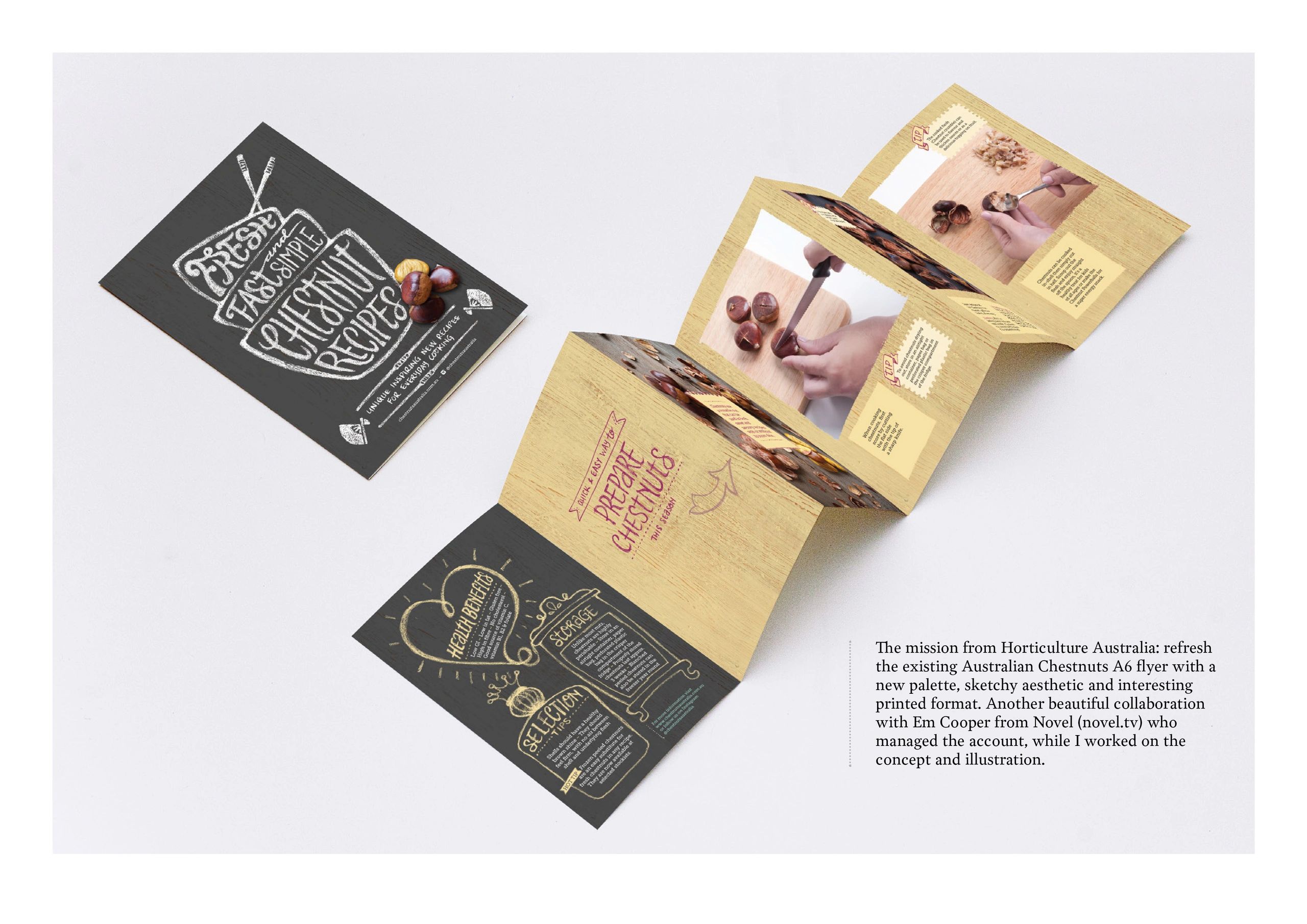 Horticulture Australia, Australian Chestnuts branding illustration.
