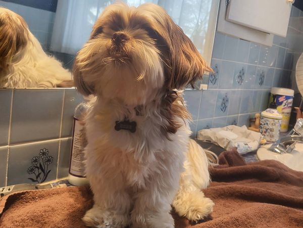 Koby feeling great after his spaw experience! Look at that smile!