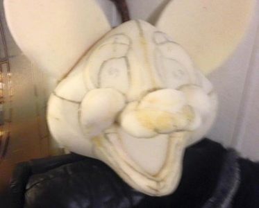 Foam head for the fox