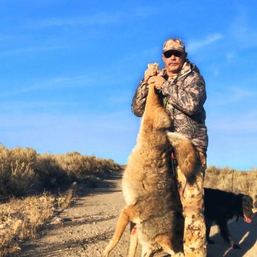 Guided coyote hunts