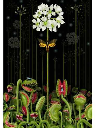 'Beauty and Truth, Truth and Beauty' - shortlisted for the prestigious 'Women in Art Prize 2025'.