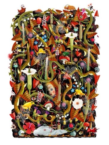 Intricate surreal artwork with plants, insects, animals, and a hidden doll face.