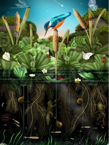 'Earth, Wind, Fire and Water' - submitted to 'The Natural Eye' Open Call 2025 for the Society of Wil