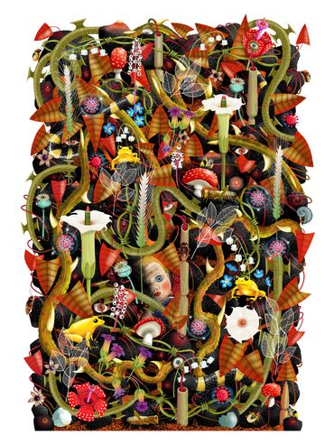 A1 Signed Limited Edition Fine Art Giclee Print