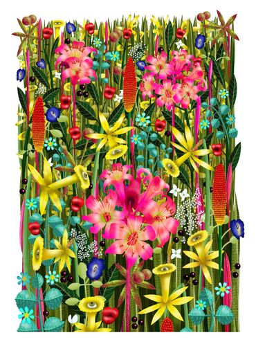 A1 Signed Limited Edition Fine Art Giclee Print