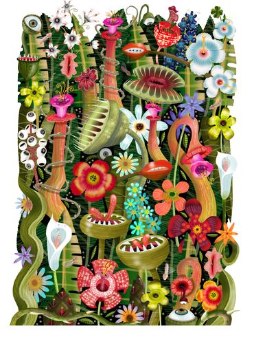 A1 Signed Giclee Fine Art Print