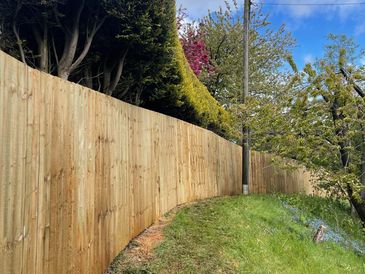 Timber closeboard fence running uphill along grassy slope with trees overhead.