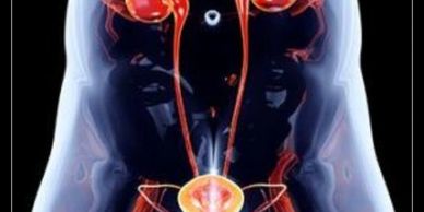 طب المسالك التجميلي و التعويضي و يهتم بعلاج حالات مثل إصابات الاحليل  و عمليات تكبير و تجميل القضيب
تكبير القضيب