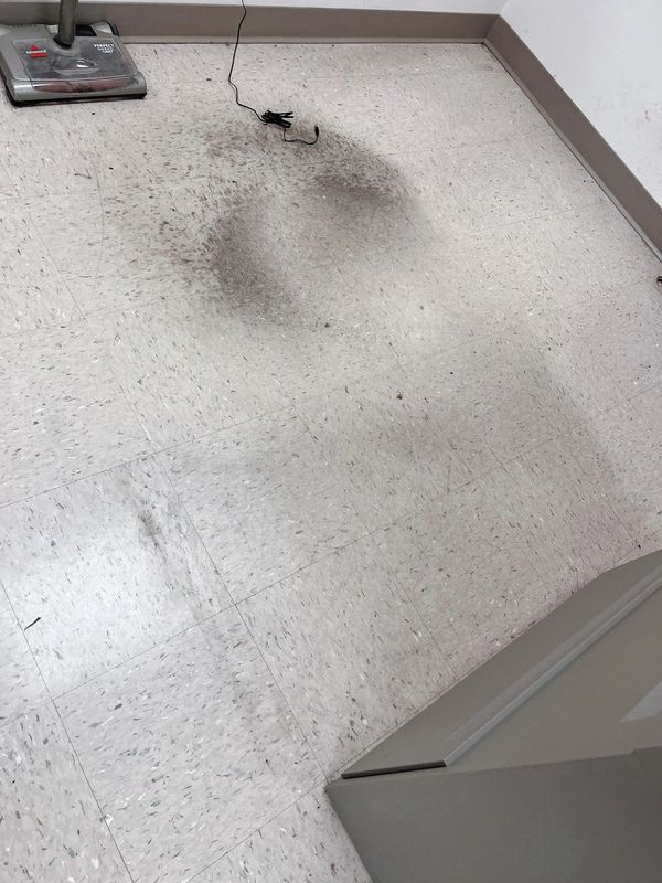 Commercial Cleaning Stain Removal