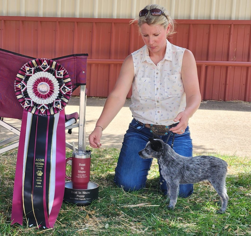 Woman kneeling with her dog next to a Best in Show puppy trophy.