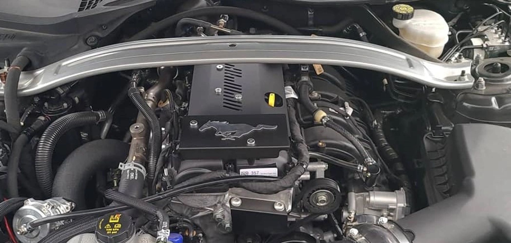 Mustang Ecoboost featuring Adapted Performance engine dress up covers.