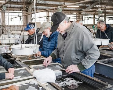 Members counting trout eggs before delivering to schools