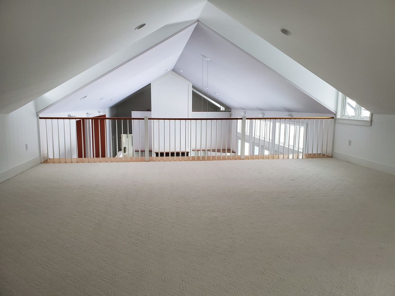 Professional carpet cleaning