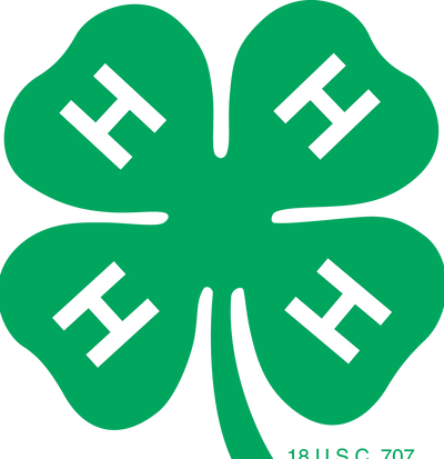 4-H Youth Programs