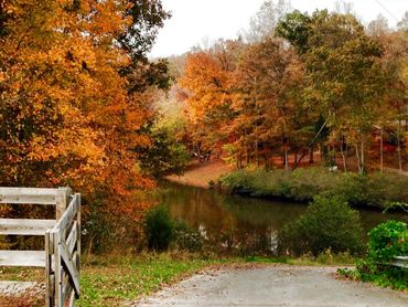 Fall is painted up with glorious colors attracting visitors far and wide!