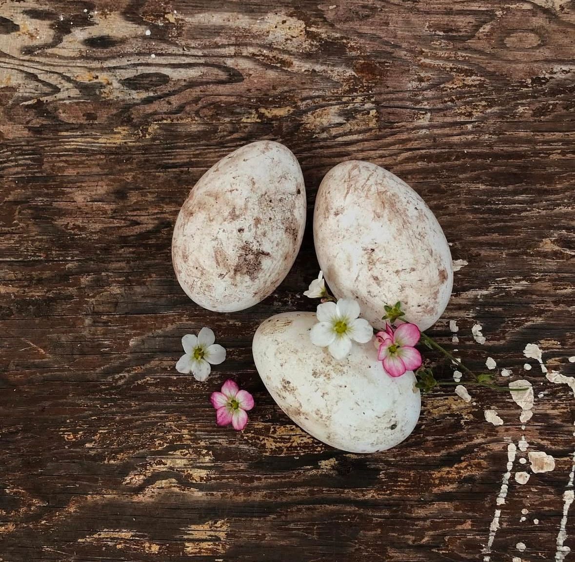 Three dirty white eggs with small flowers on a wooden surface.
