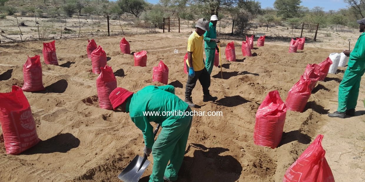 Biochar leads to healthy soil and crops in Namibia's rural communal areas. © Omiti Biochar