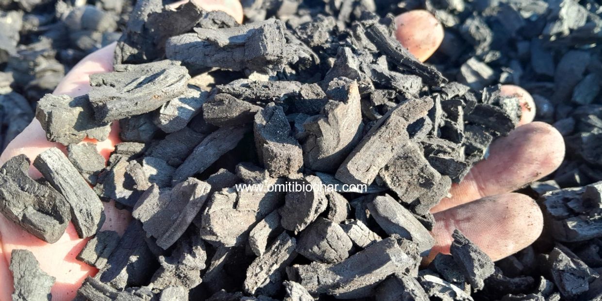 Biochar from encroacher bush. © Omiti Biochar