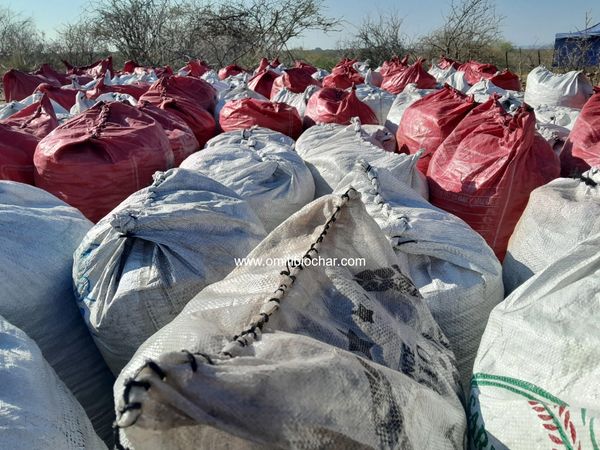 Biochar carbon removal projects in Namibia. © Omiti Biochar