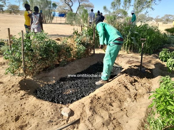 Benefits of biochar for crop production in rural communities, Namibia. © Omiti Biochar