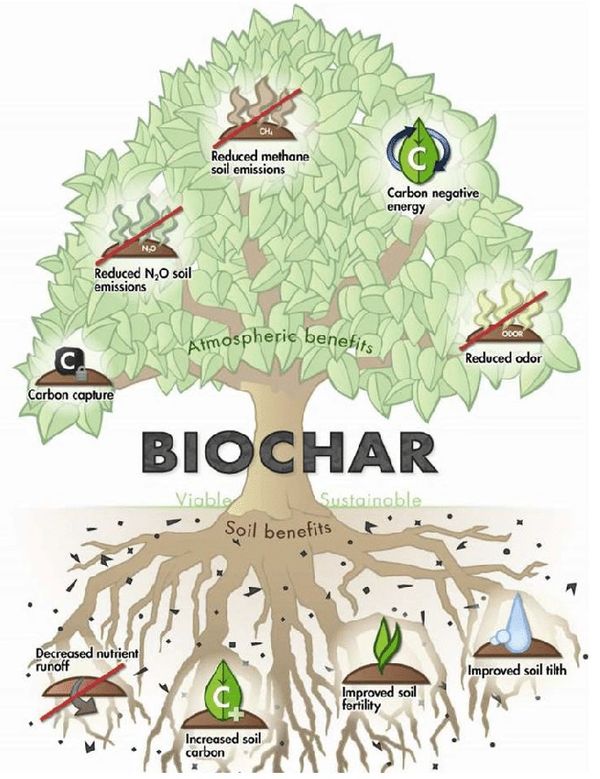 Biochar carbon removal in Namibia.