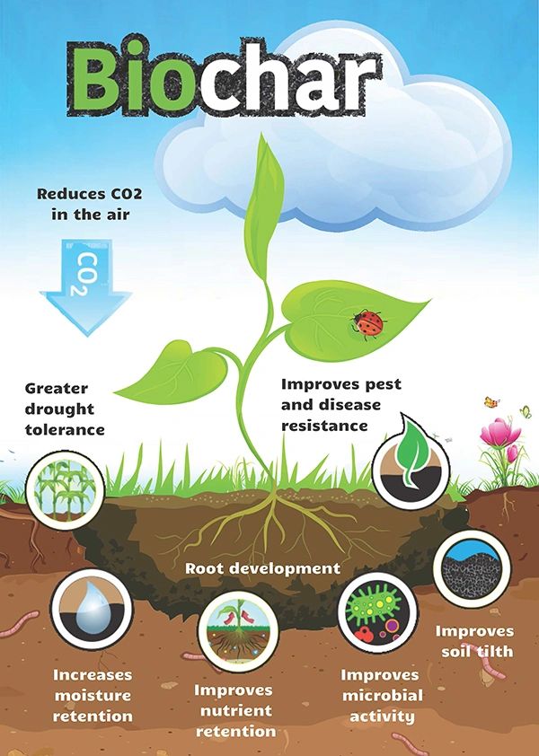 Biochar benefits for plant and soil health.