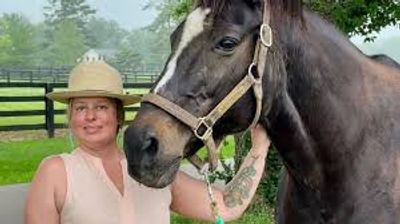 Person in a hat holding a dark horse with a white stripe on its face.