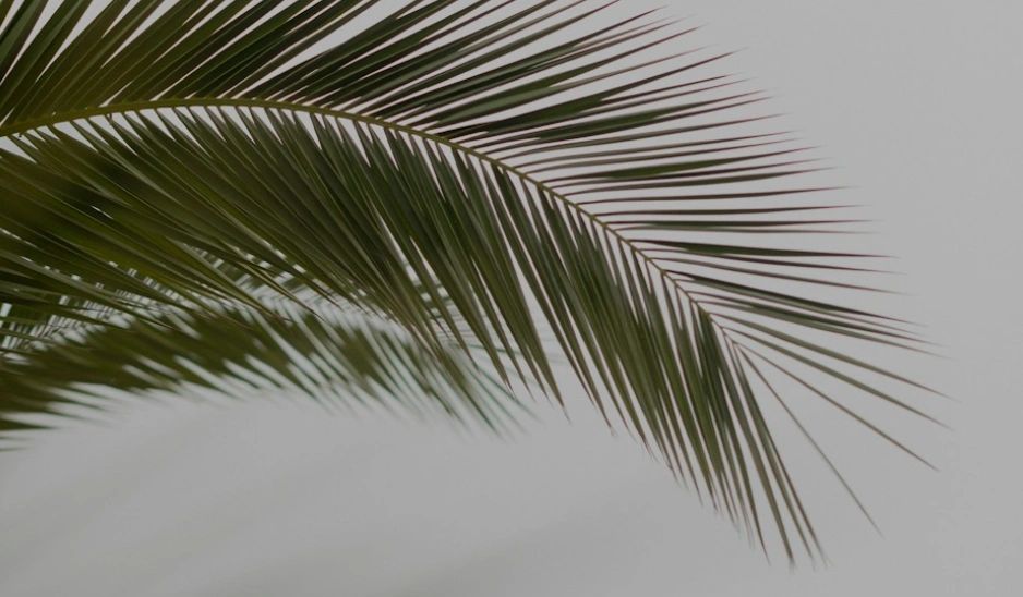 Pacific Skin LLC - Logo