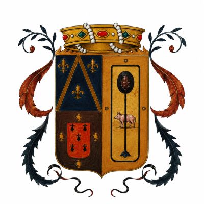 Escudo de armas antiguo con corona y símbolos heráldicos.