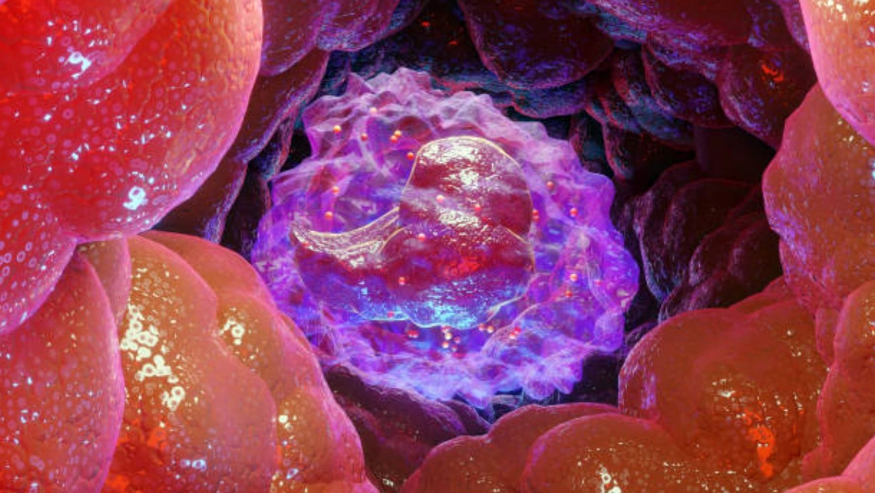 Close-up of a biological cell in vibrant colors inside a tissue environment.