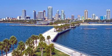 City skyline with waterfront and palm-lined walkway under clear blue sky.