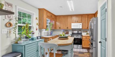Bright kitchen with wooden cabinets and indoor plants.