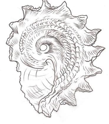 Shell 2, Ernst Haeckel
