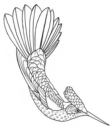 Hummingbird 3, Ernst Haeckel
