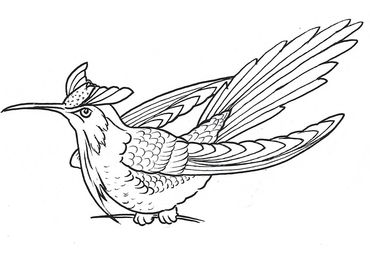 Hummingbird 4, Ernst Haeckel