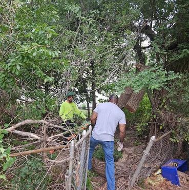 Johnson Tree Surgery crew cutting and clearing fallen branches during a residential tree removal pro