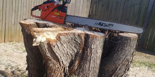 Johnson Tree Surgery chainsaw resting on a freshly cut large tree stump after tree removal in Oklahoma City, Oklahoma.