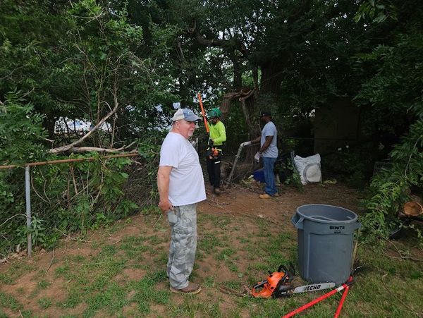 Johnson Tree Surgery crew trimming branches and clearing tree debris from a residential yard in Yuko