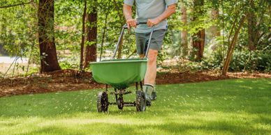 Mississauga Lawn Fertilizing Services