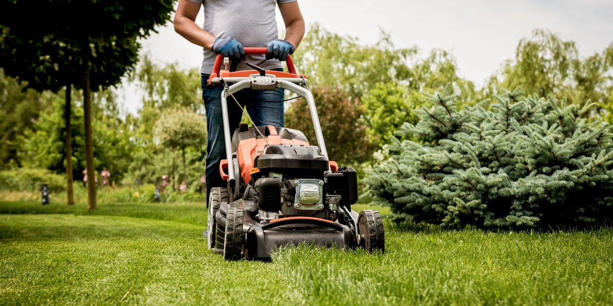 Etobicoke Lawn Care and Lawn Mowing