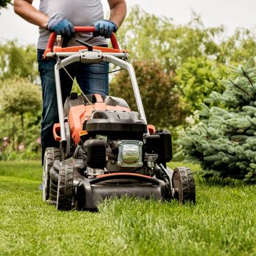 Etobicoke grass cutting