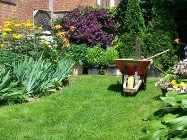 shrub planting services
