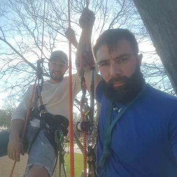 Brothers, climbing, trees, fun, work, height, danger